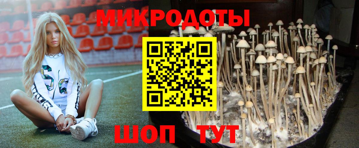 Новосибирск  Галлюциногенные грибы Cubensis  Вход с VPN 